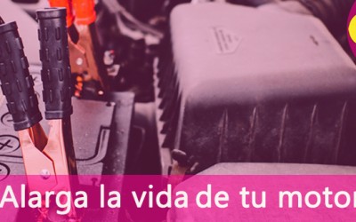 Cómo alargar la vida de tu motor en cinco pasos