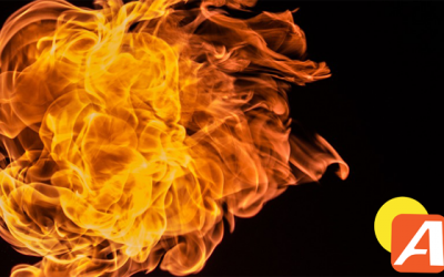 ¿Encender un mechero en una gasolinera para matar a una araña?