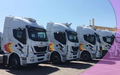 ¡FELICIDADES TRANSPORTISTAS SALINAS!