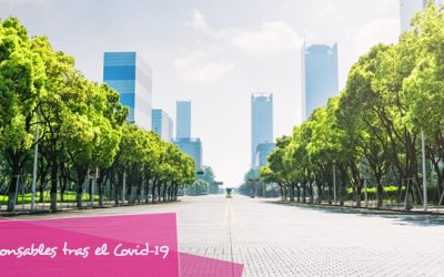 Actuaciones irresponsables tras el Covid-19