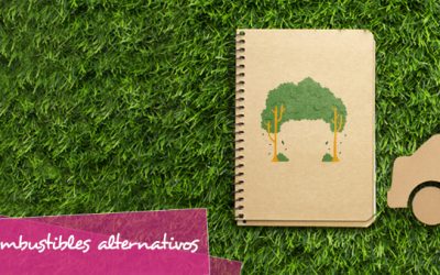 Vehículos de combustibles alternativos