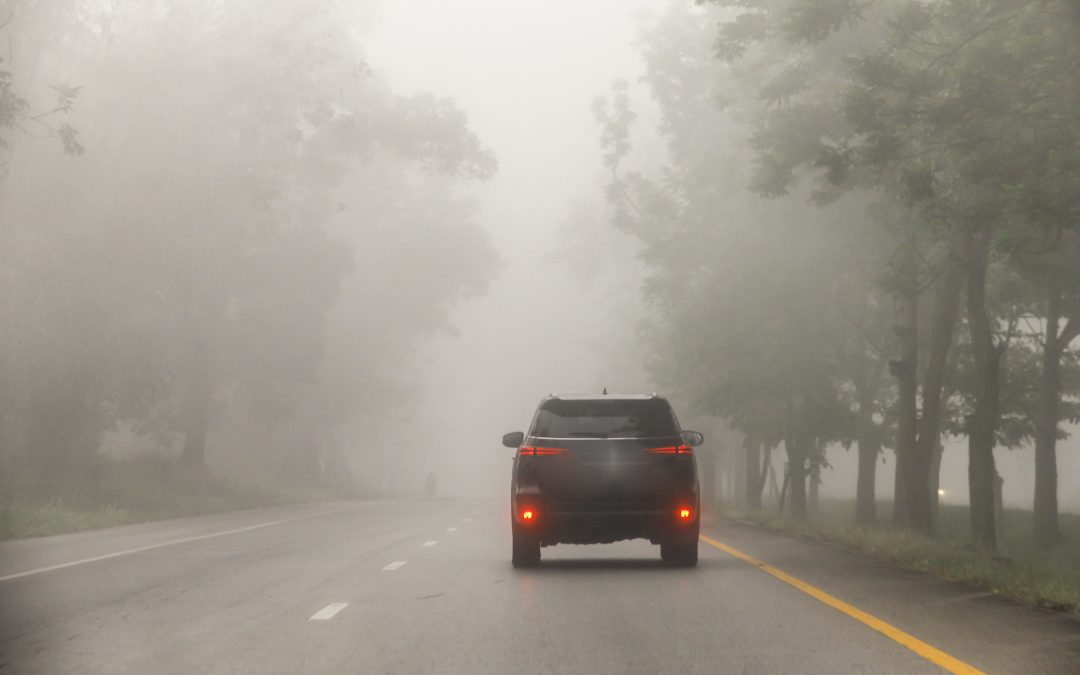 Niebla por carretera